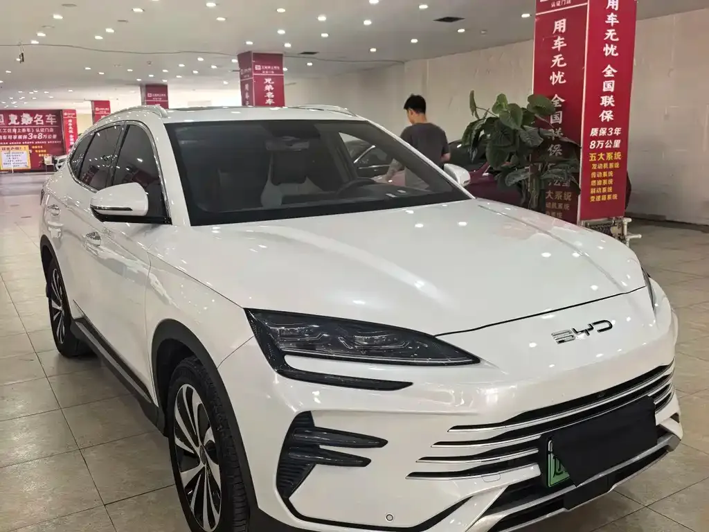 BYD PLUS New Energy — фото 9