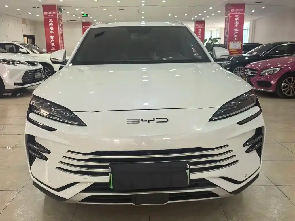 BYD PLUS New Energy — фото 5