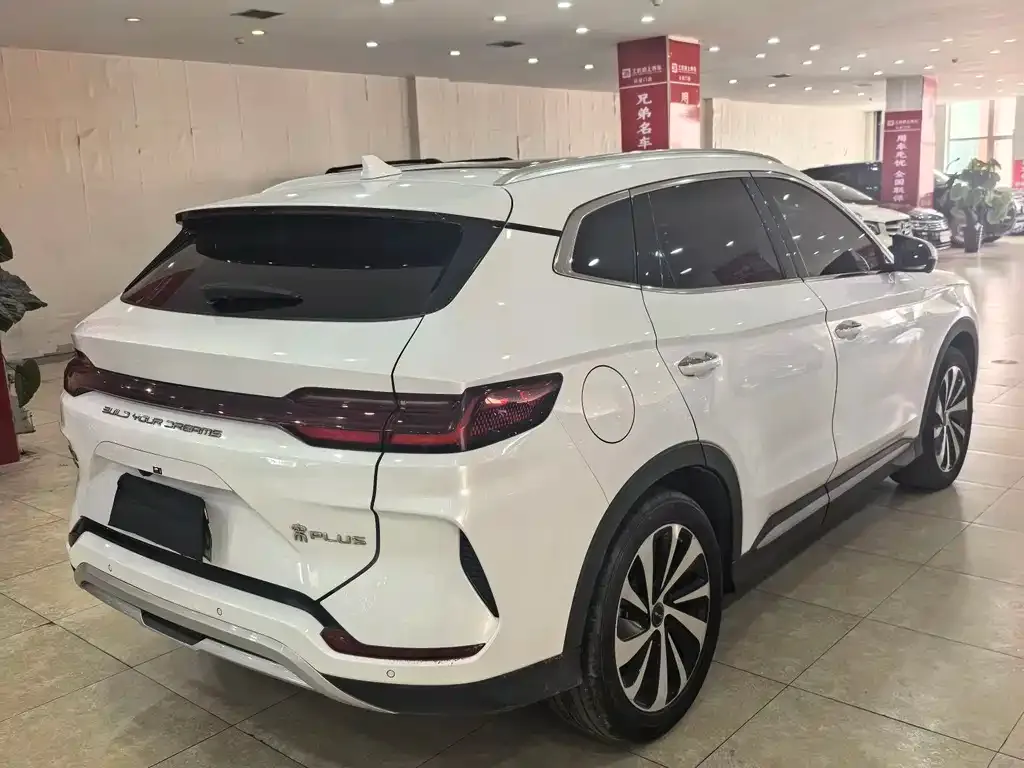 BYD PLUS New Energy — фото 3