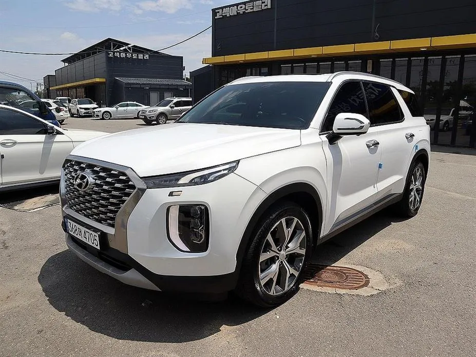 Hyundai Palisade — фото 10