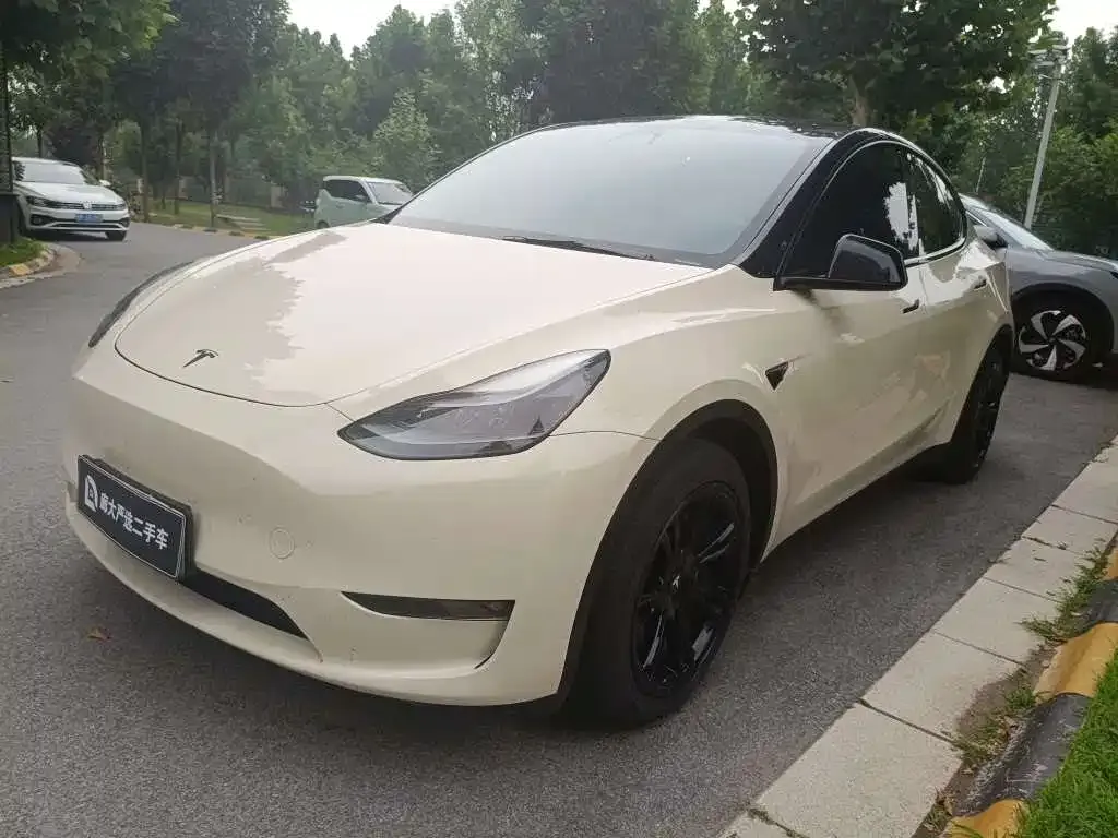 Tesla Model Y — фото 1