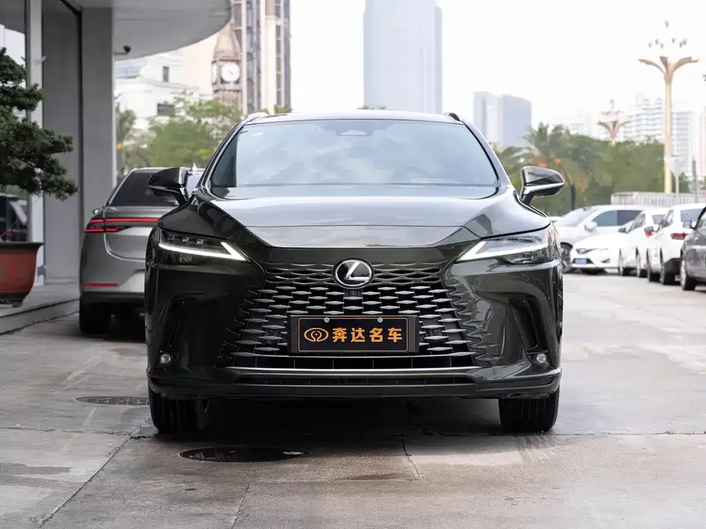 Lexus RX New Energy — фото 8