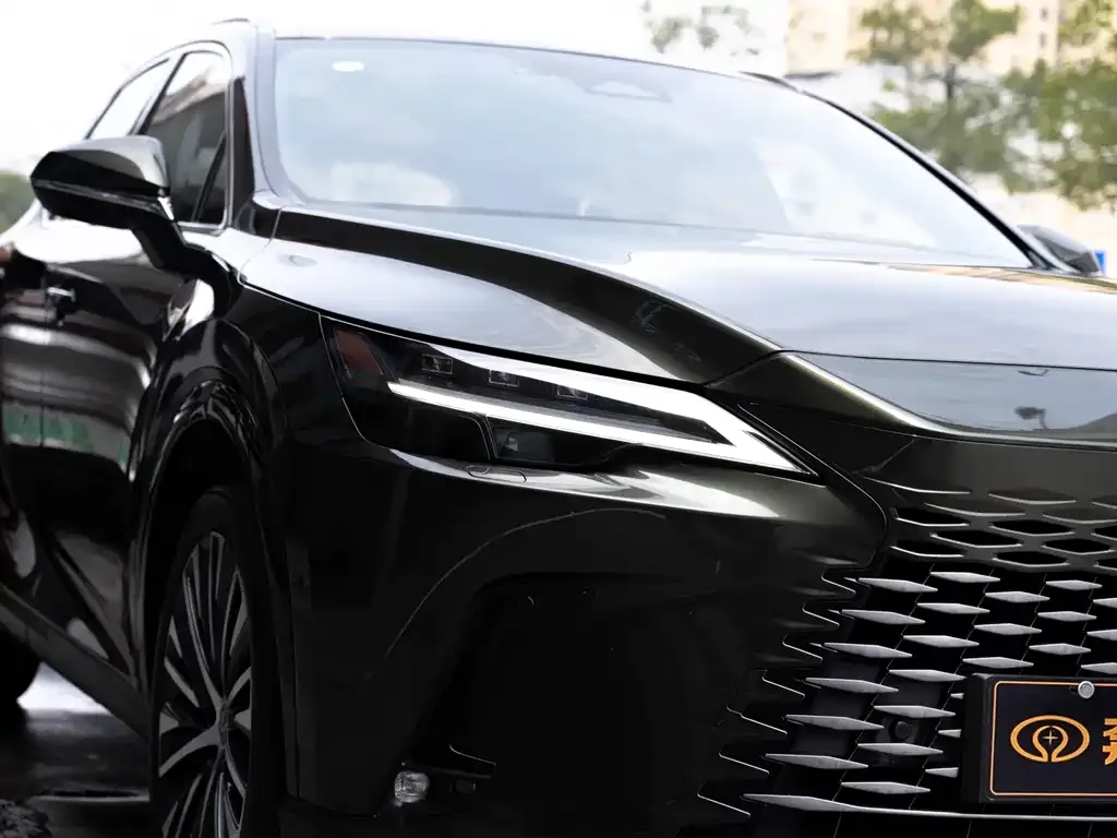Lexus RX New Energy — фото 6