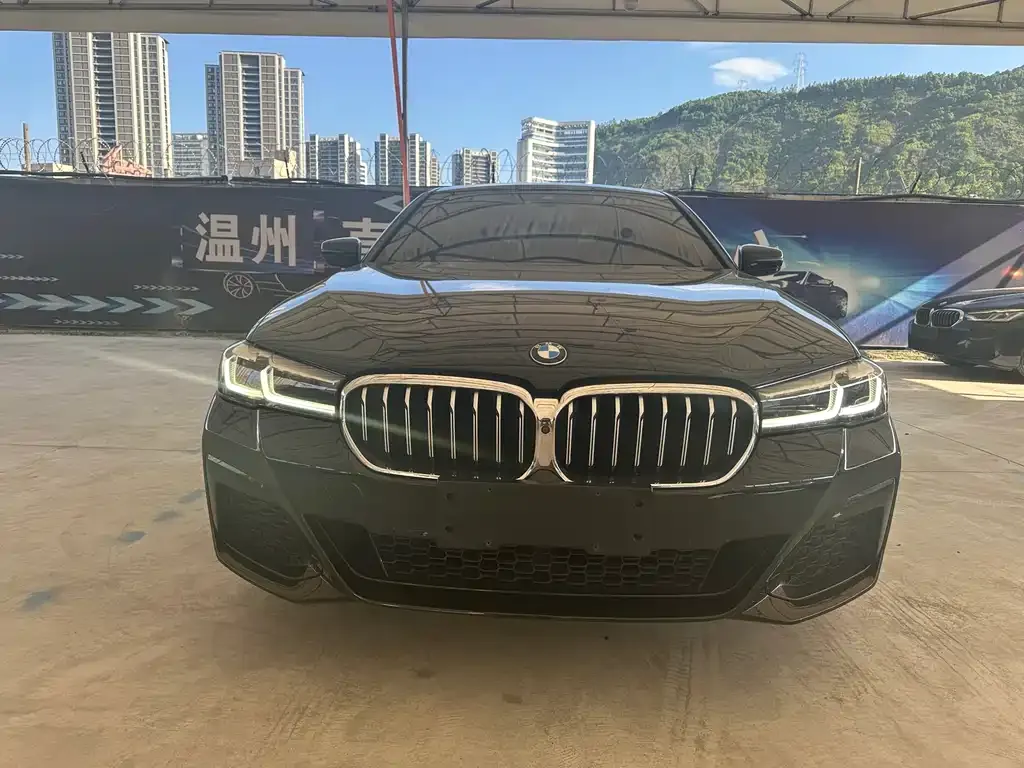 BMW 5 Series — фото 4