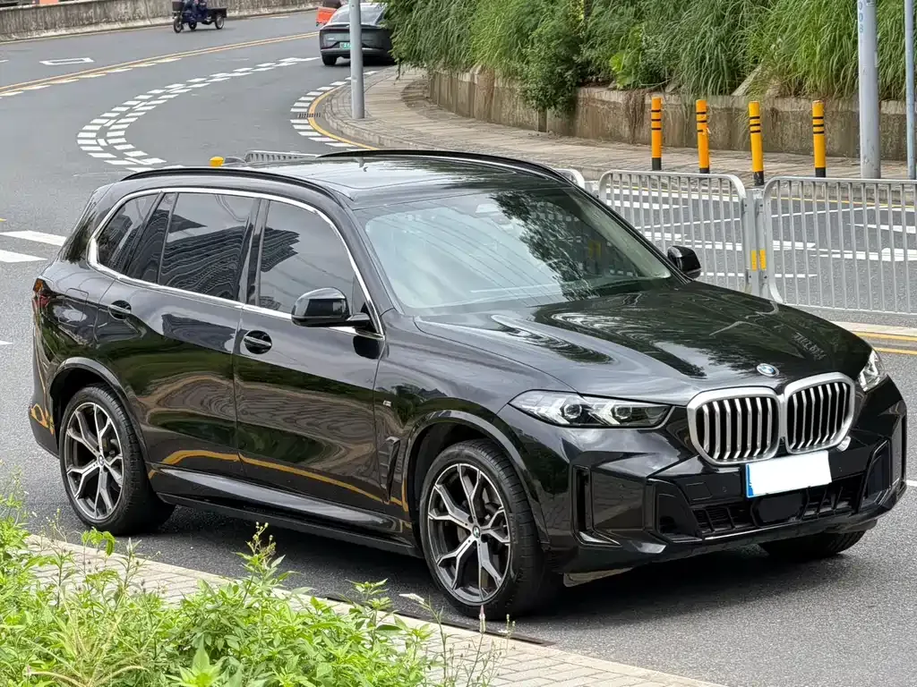BMW X5 — фото 10