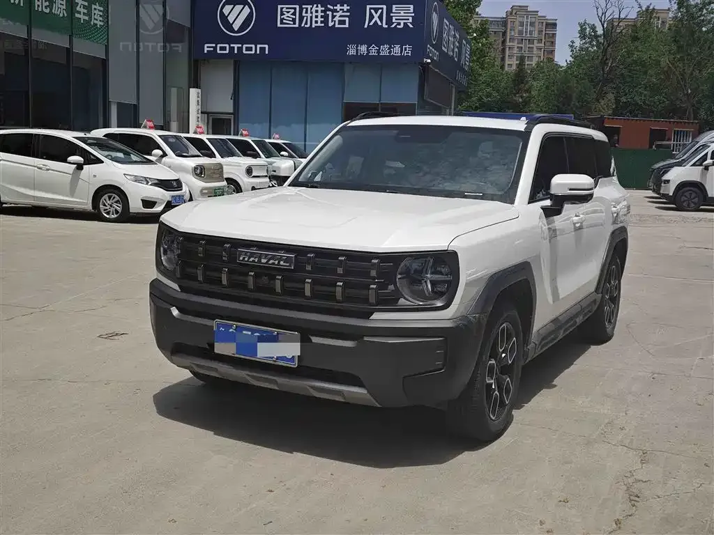 Haval Cool Dog — фото 1