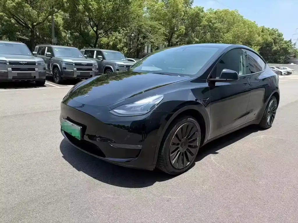 Tesla Model Y — фото 1