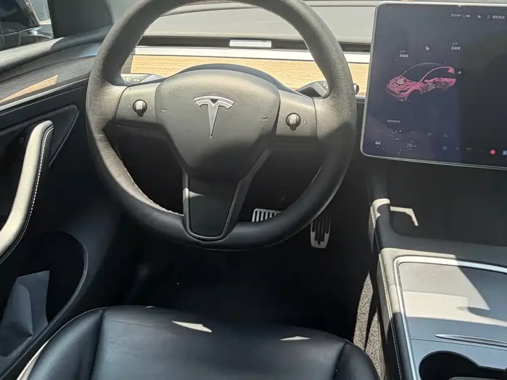 Tesla Model Y — фото 8
