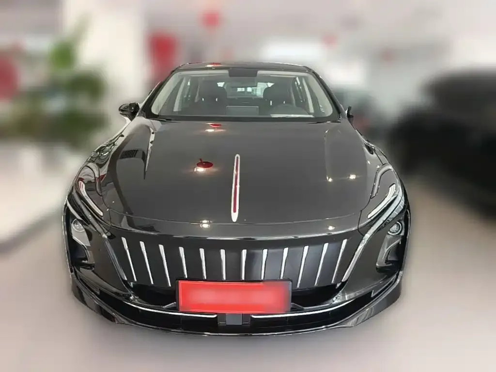 Hongqi E-QM5 — фото 5