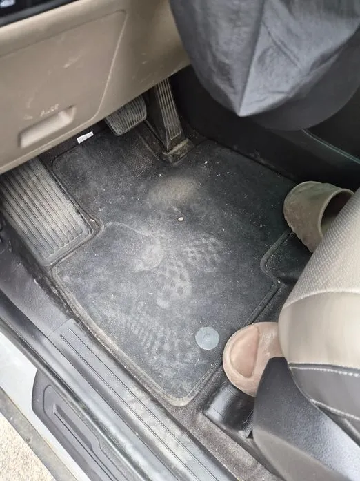 Kia Carnival — фото 2