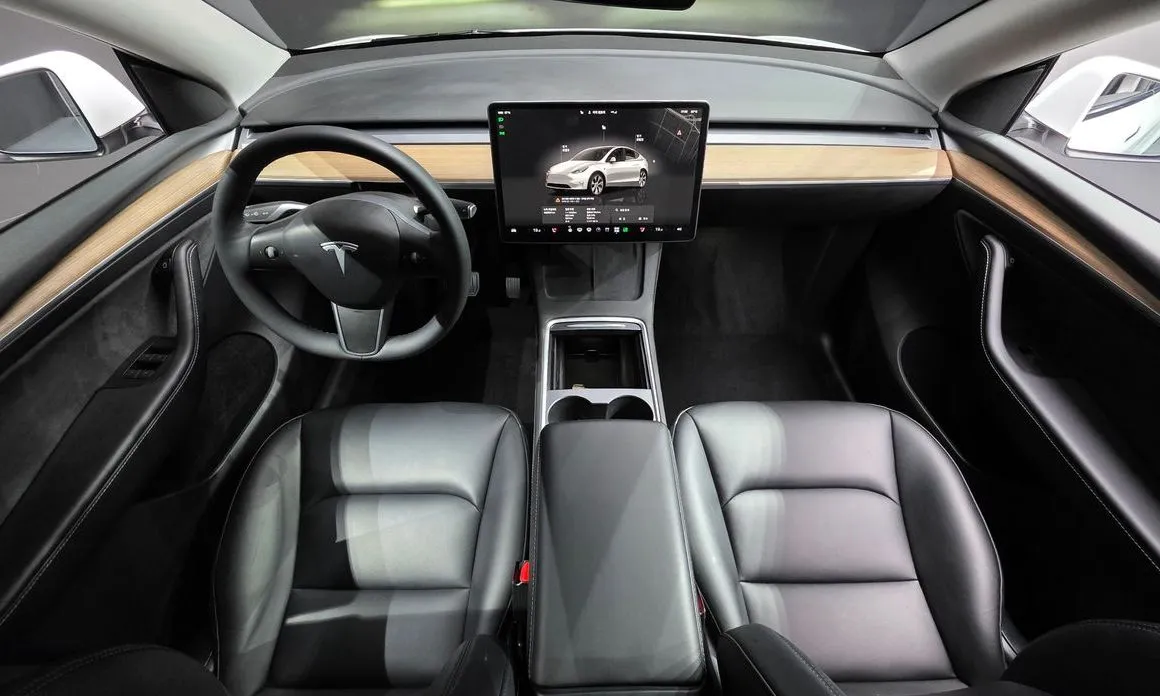 Tesla Model Y — фото 10