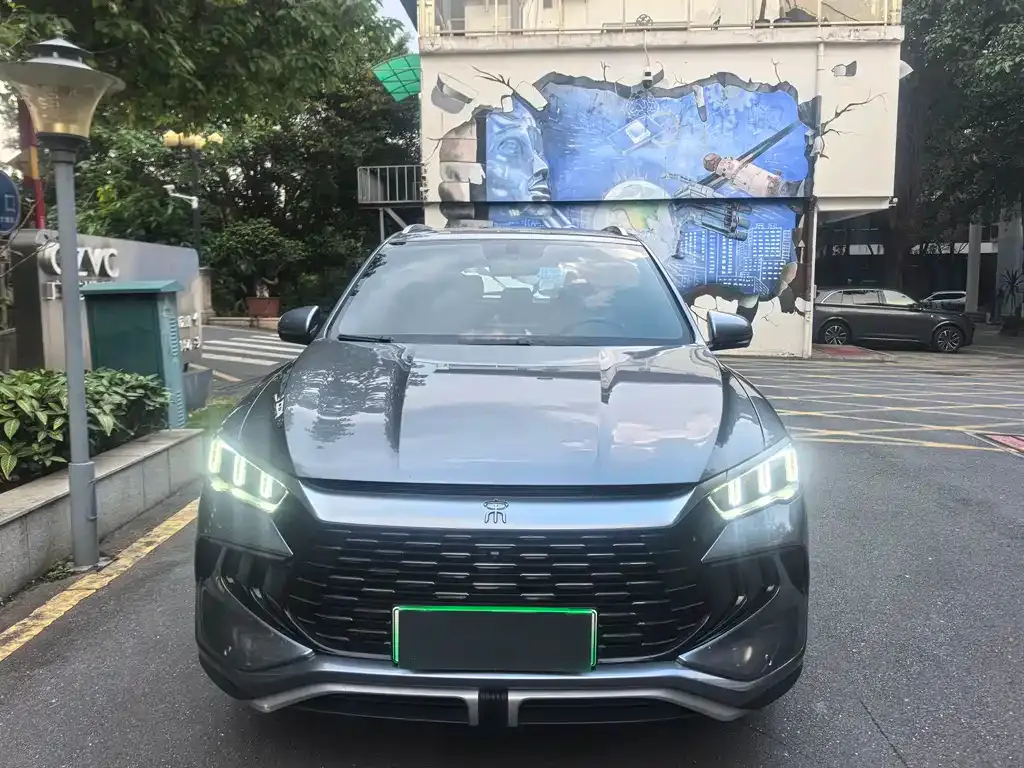 BYD Pro New Energy — фото 2