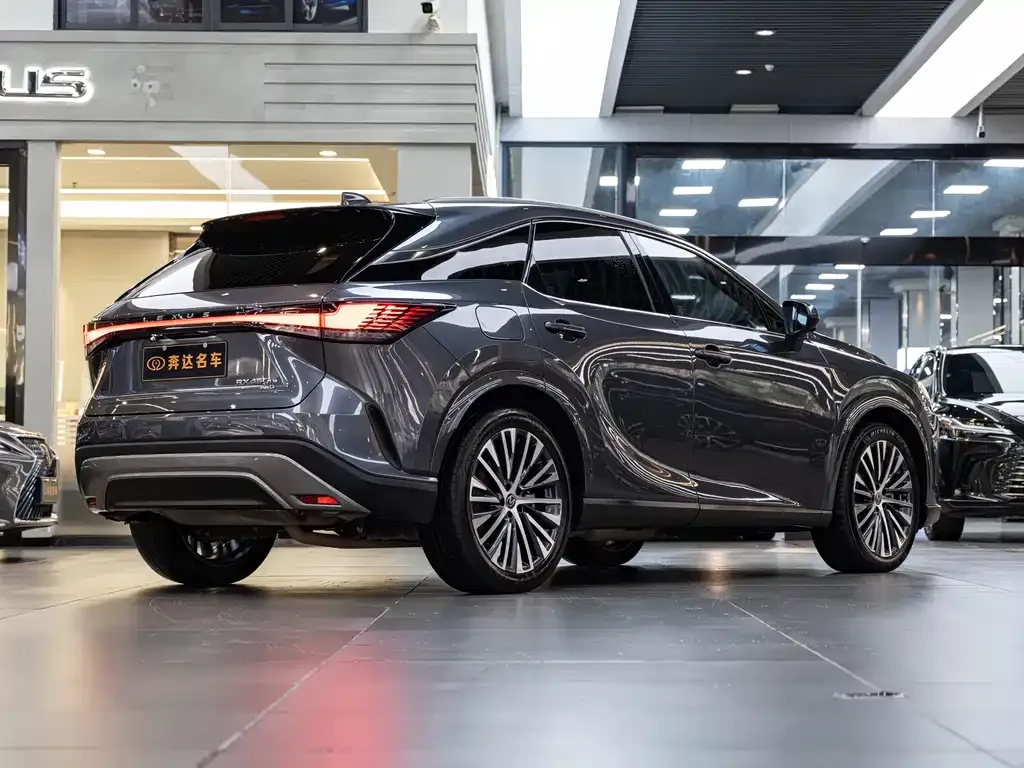 Lexus RX New Energy — фото 9