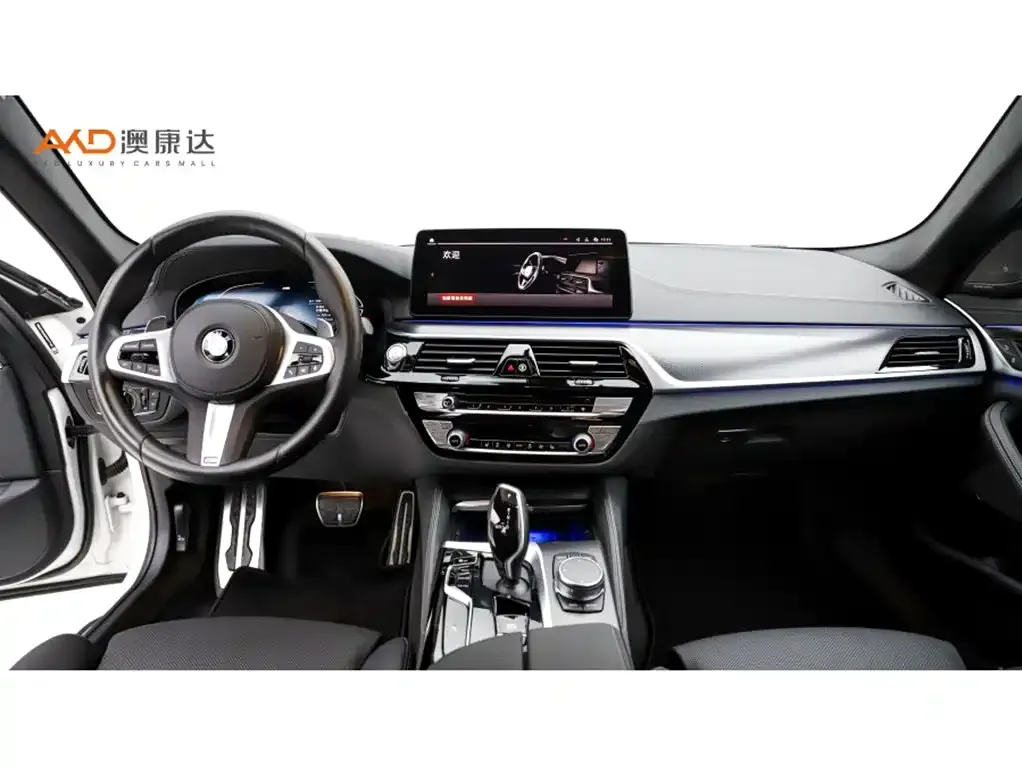 BMW 5 Series (Import) — фото 3