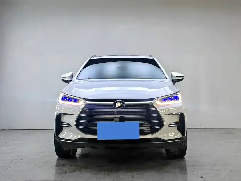 BYD Tang New Energy — фото 4