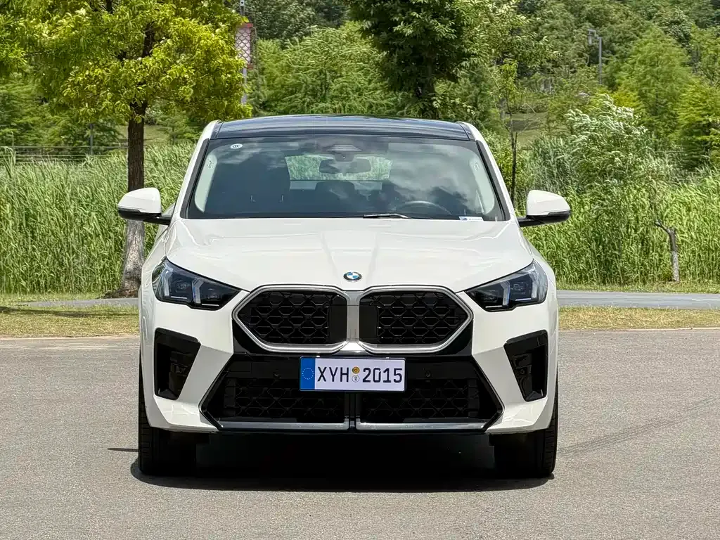 BMW X2 (Import) — фото 9