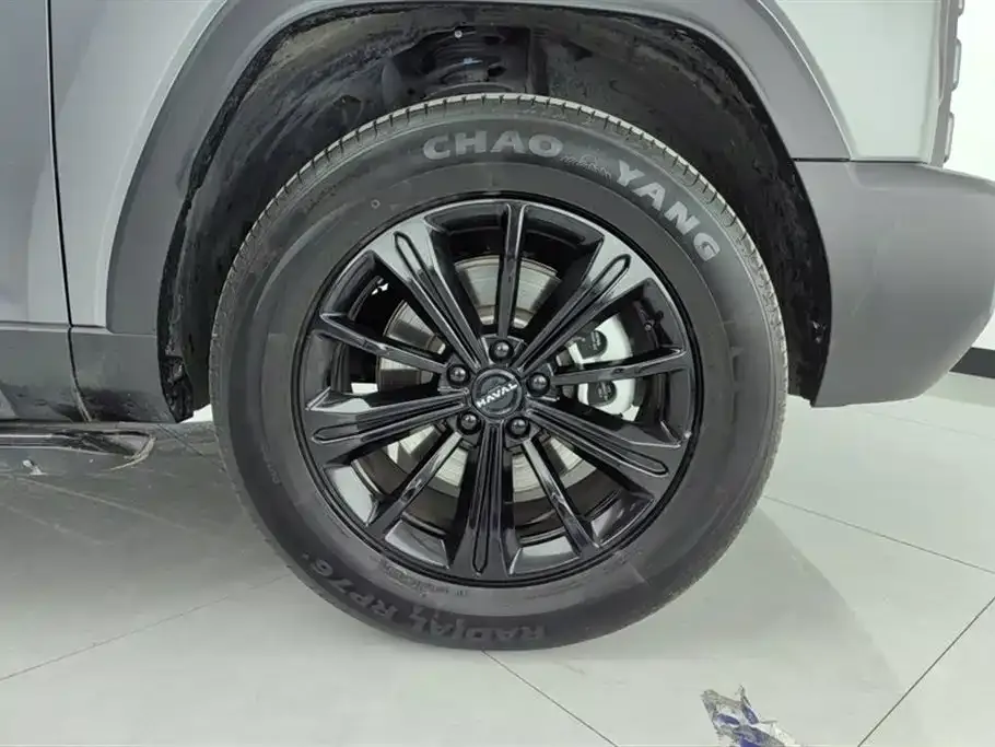 Haval Menglong New Energy — фото 10