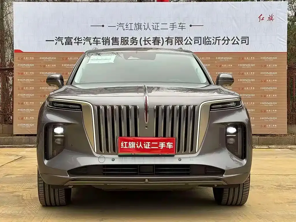 Hongqi E-HS9 — фото 4