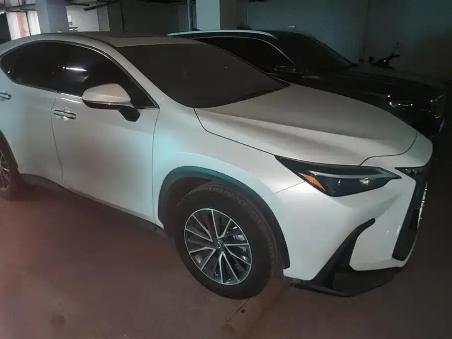 Lexus NX New Energy — фото 2