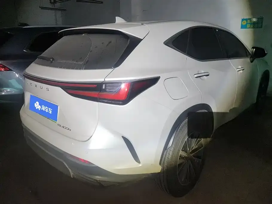Lexus NX New Energy — фото 5