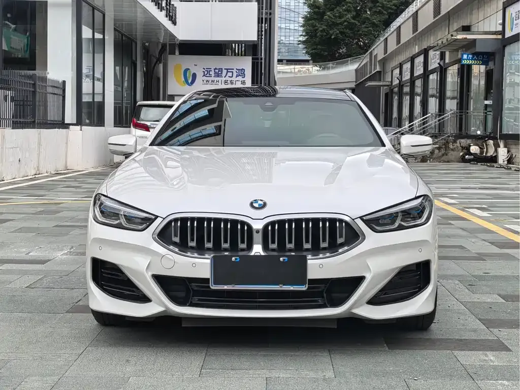 BMW 8 Series — фото 1