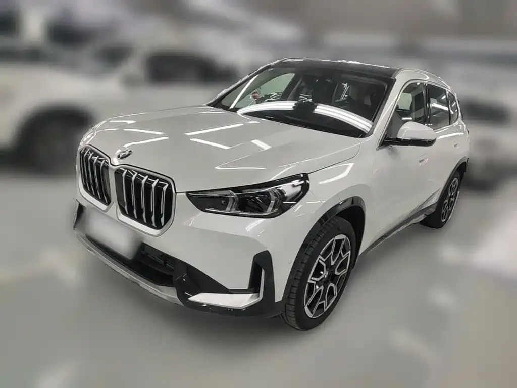 BMW X1 — фото 1