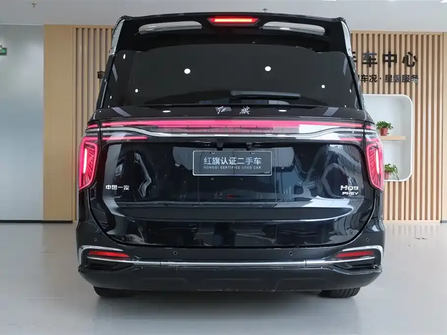 Hongqi HQ9 PHEV — фото 8