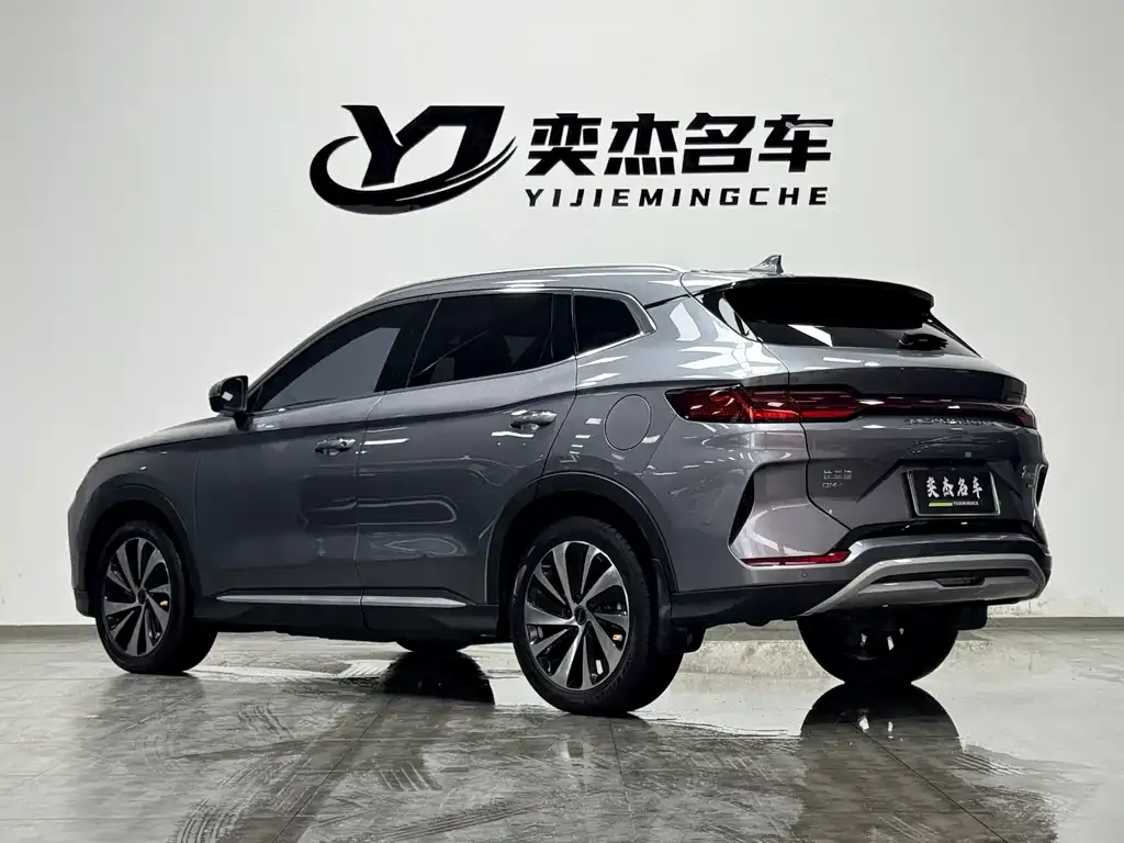 BYD PLUS New Energy — фото 7