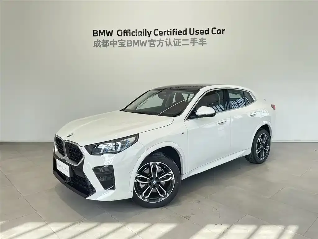 BMW X2 (Import) — фото 1