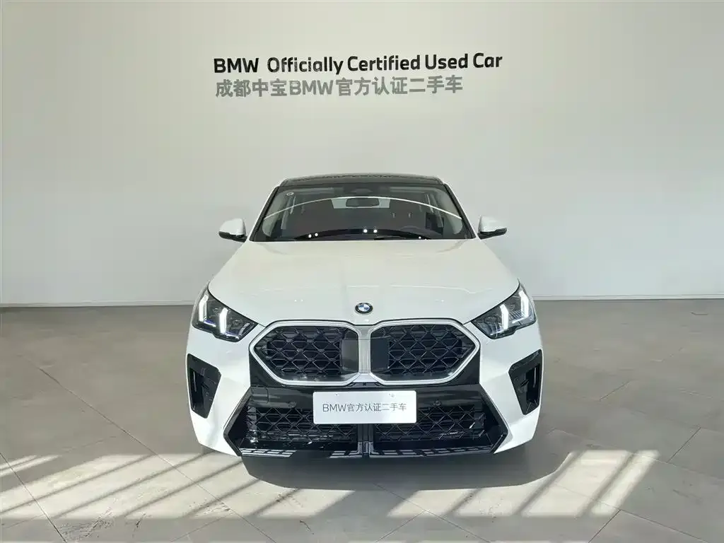 BMW X2 (Import) — фото 7