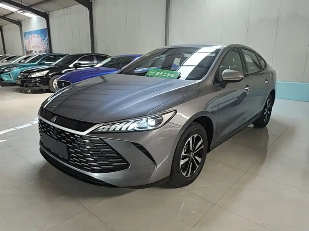 BYD Qin PLUS — фото 4