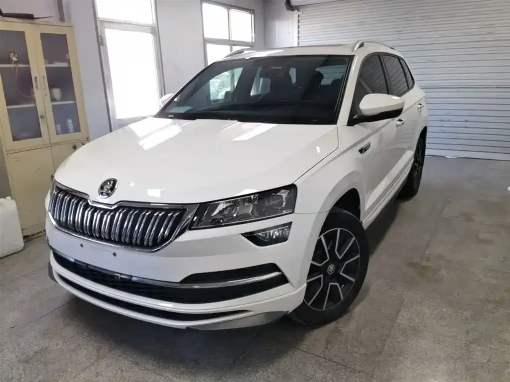Skoda Karoq — фото 8