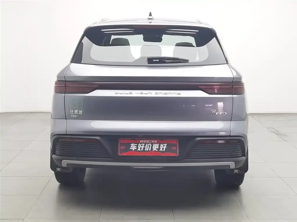 BYD Pro New Energy — фото 9