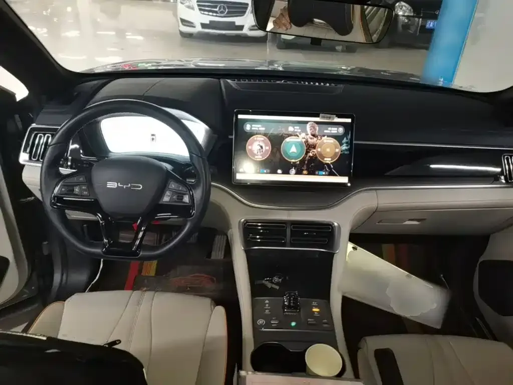 BYD PLUS New Energy — фото 10
