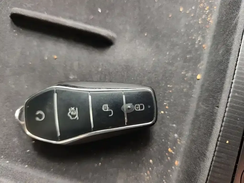 BYD L DM-i — фото 4
