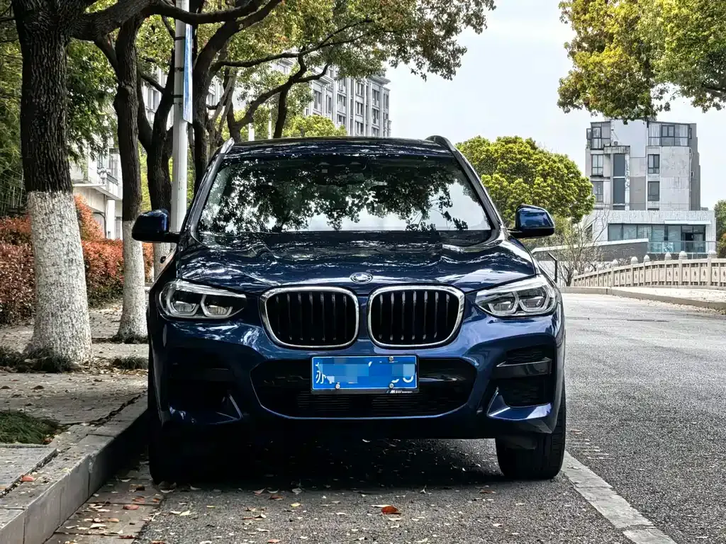 BMW X3 — фото 8