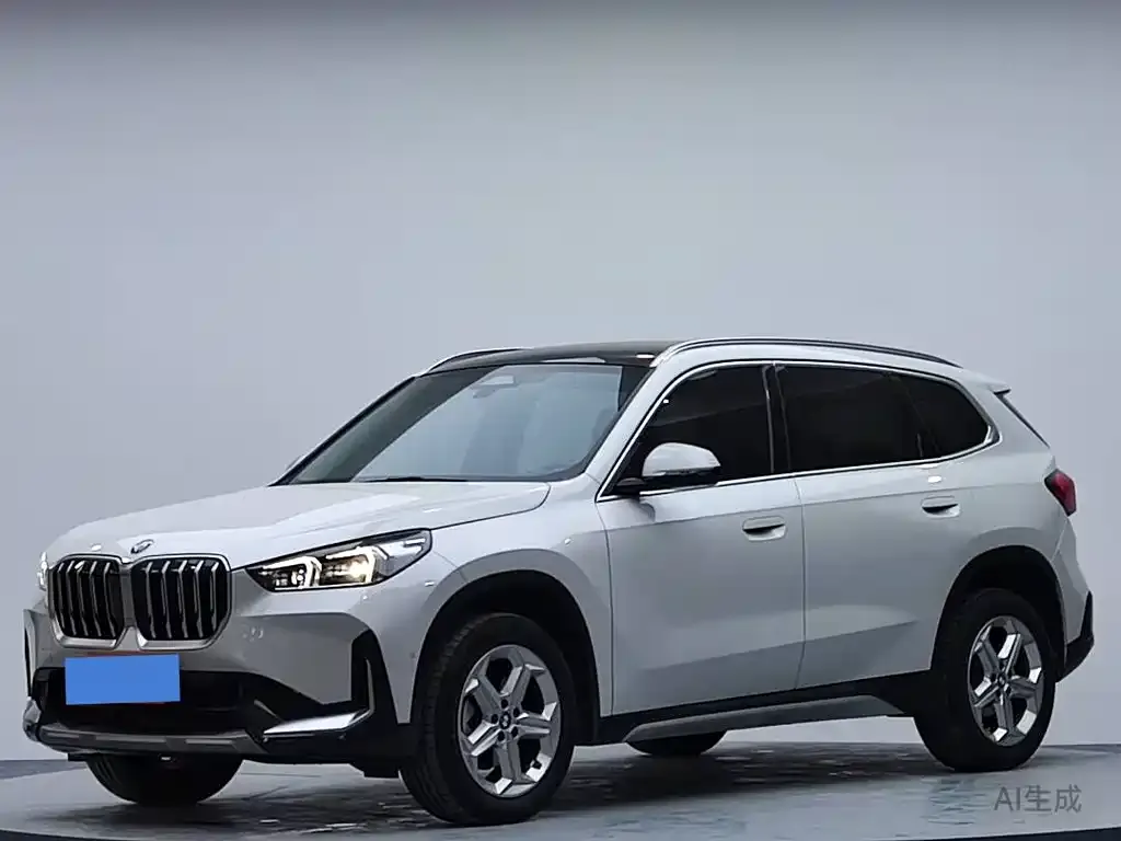 BMW X1 — фото 8
