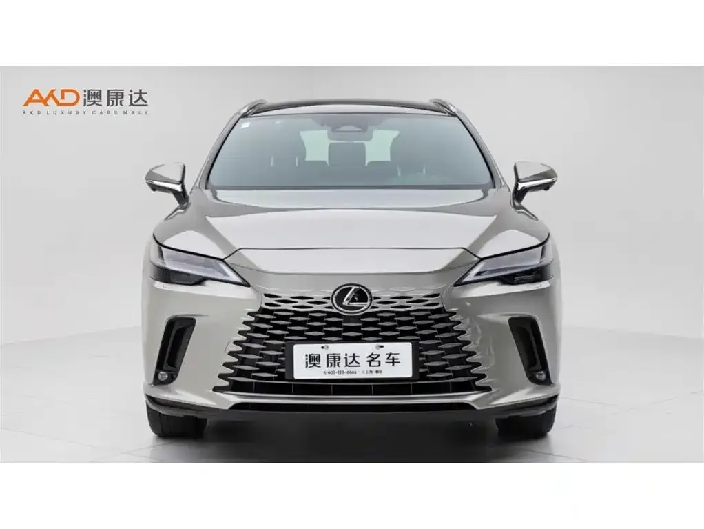 Lexus RX New Energy — фото 2