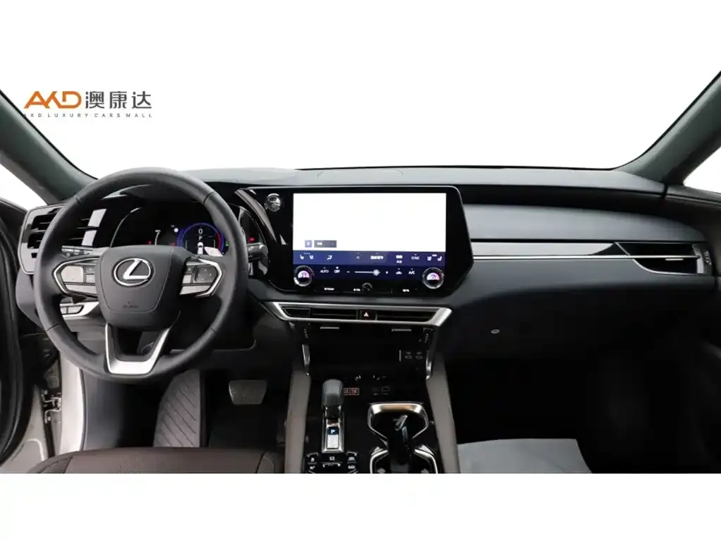 Lexus RX New Energy — фото 9