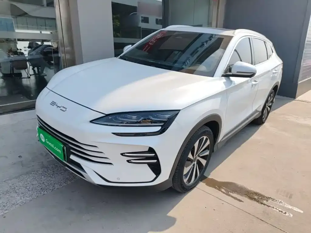 BYD PLUS New Energy — фото 1