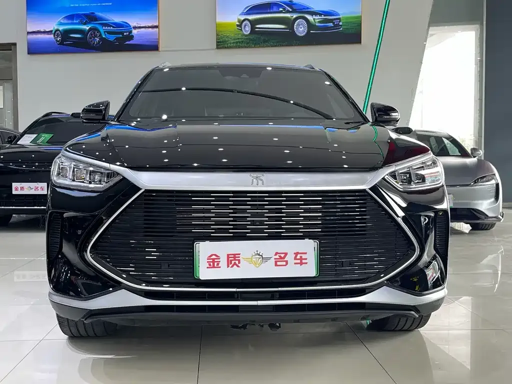 BYD PLUS New Energy — фото 2