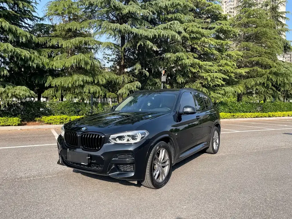 BMW X3 — фото 1