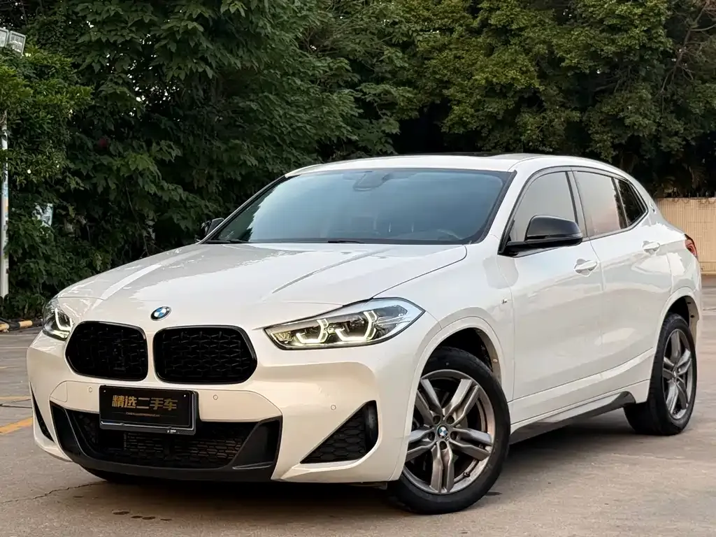 BMW X2 — фото 1