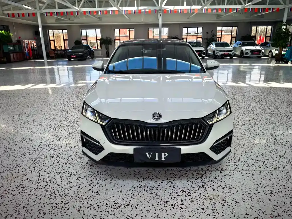 Skoda Octavia — фото 10