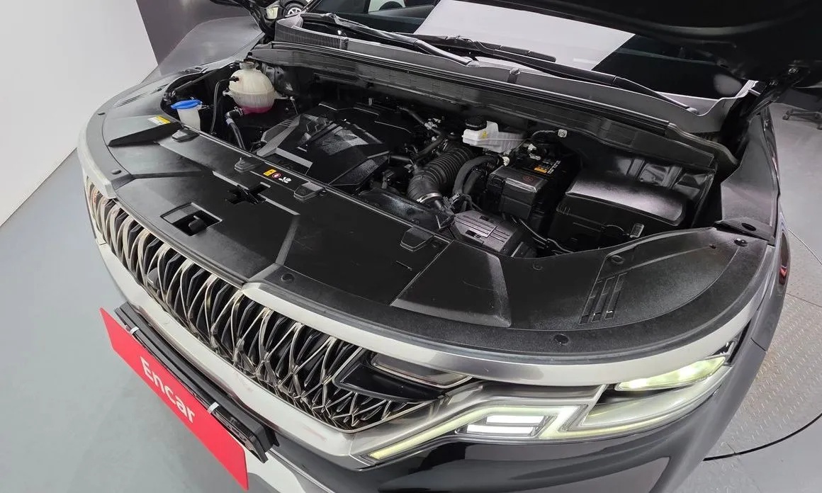 Kia Carnival — фото 10