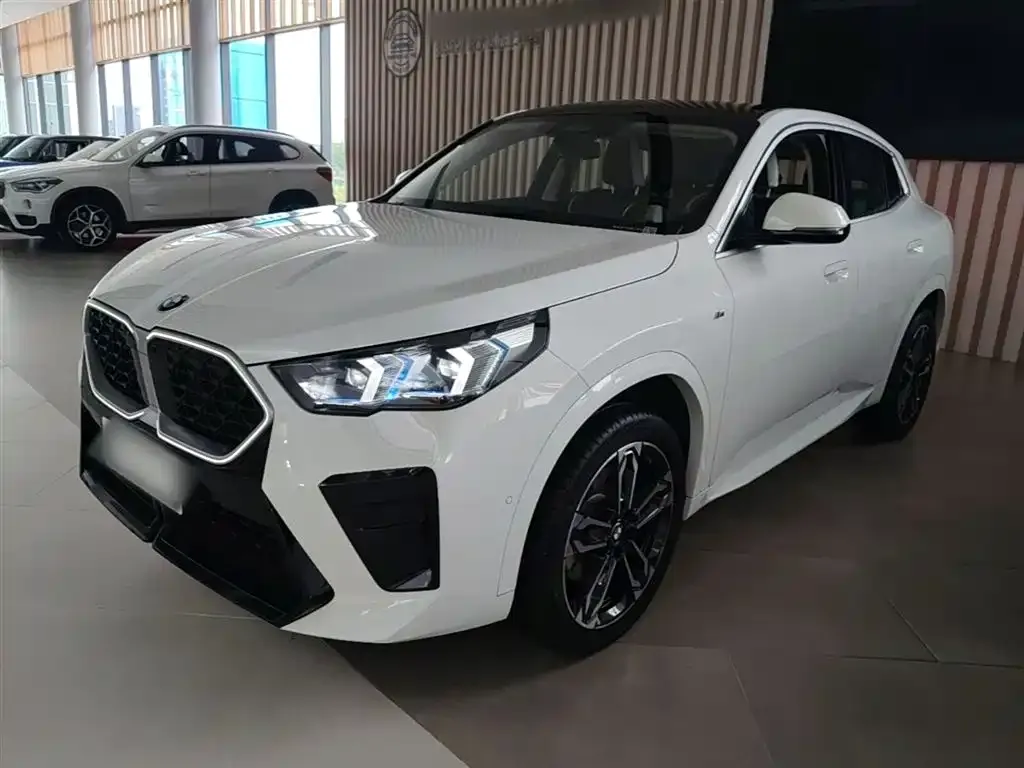 BMW X2 (Import) — фото 1