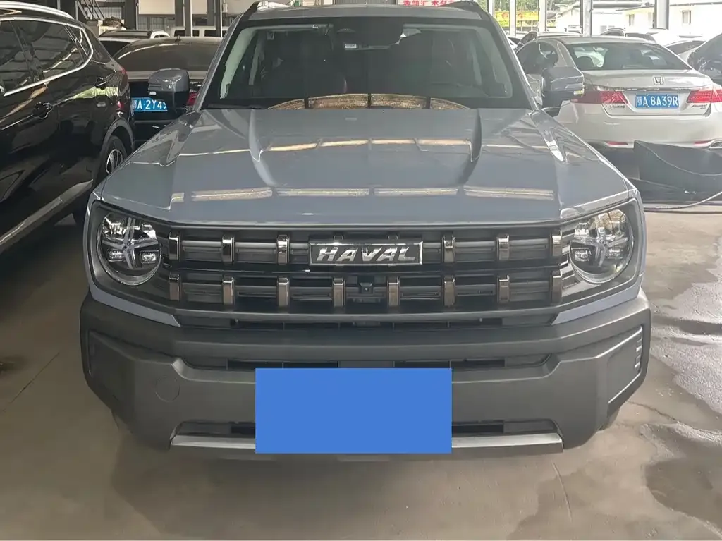 Haval Cool Dog — фото 10