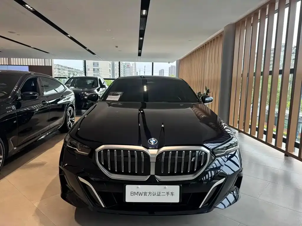 BMW i5 — фото 10