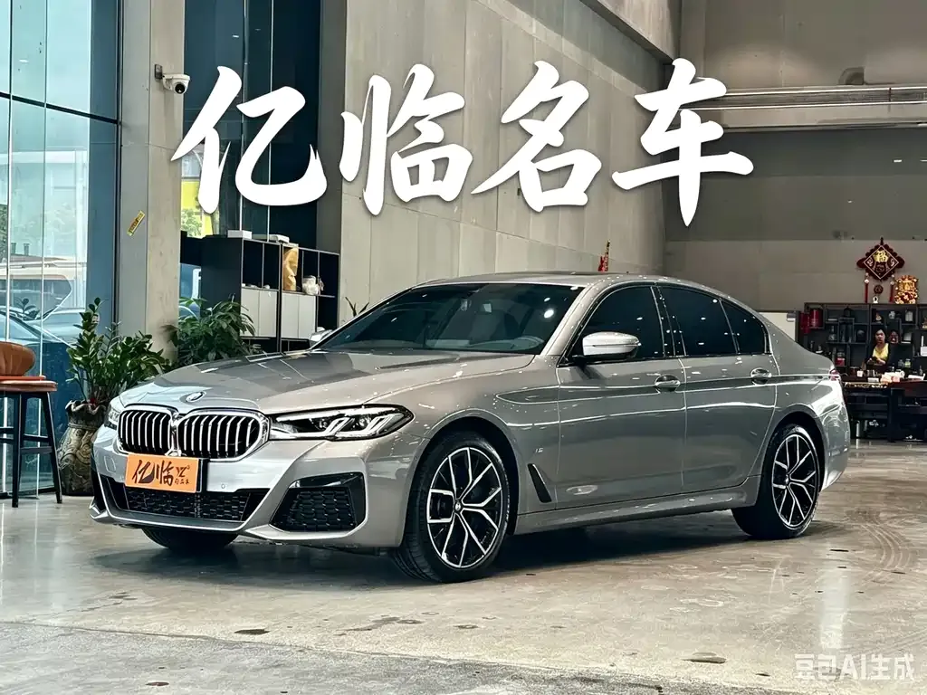 BMW 5 Series (Import) — фото 1