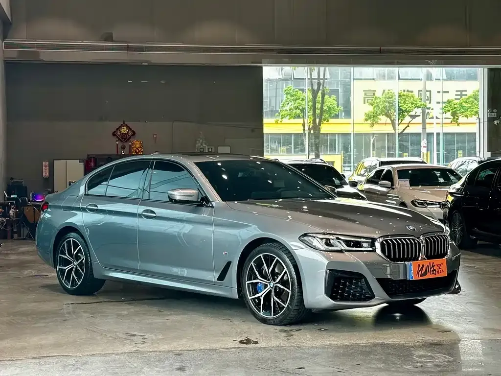 BMW 5 Series (Import) — фото 6